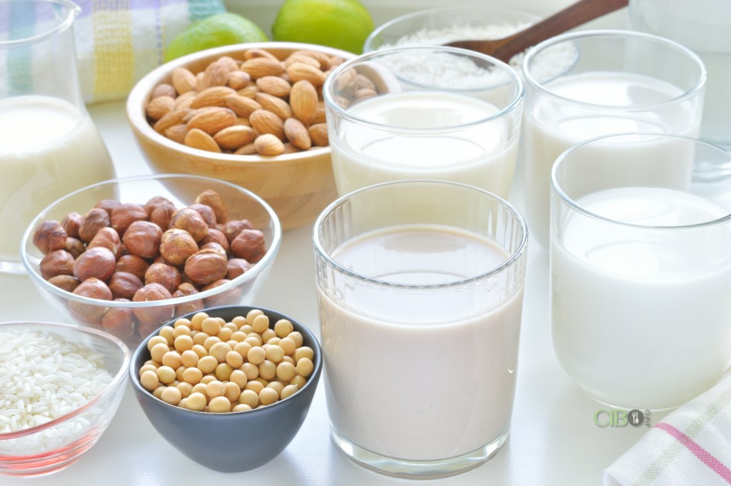 Latte vegetale, un'alternativa al latte vaccino