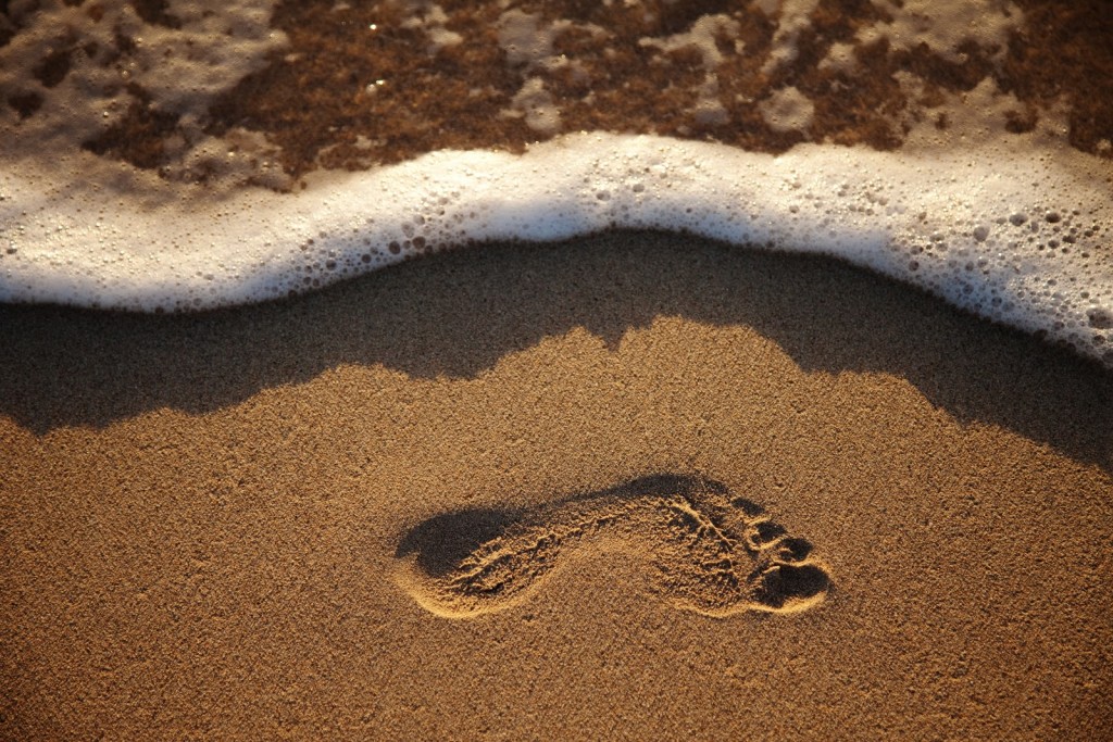 I piedi nello yoga godono di un'attenzione particolare