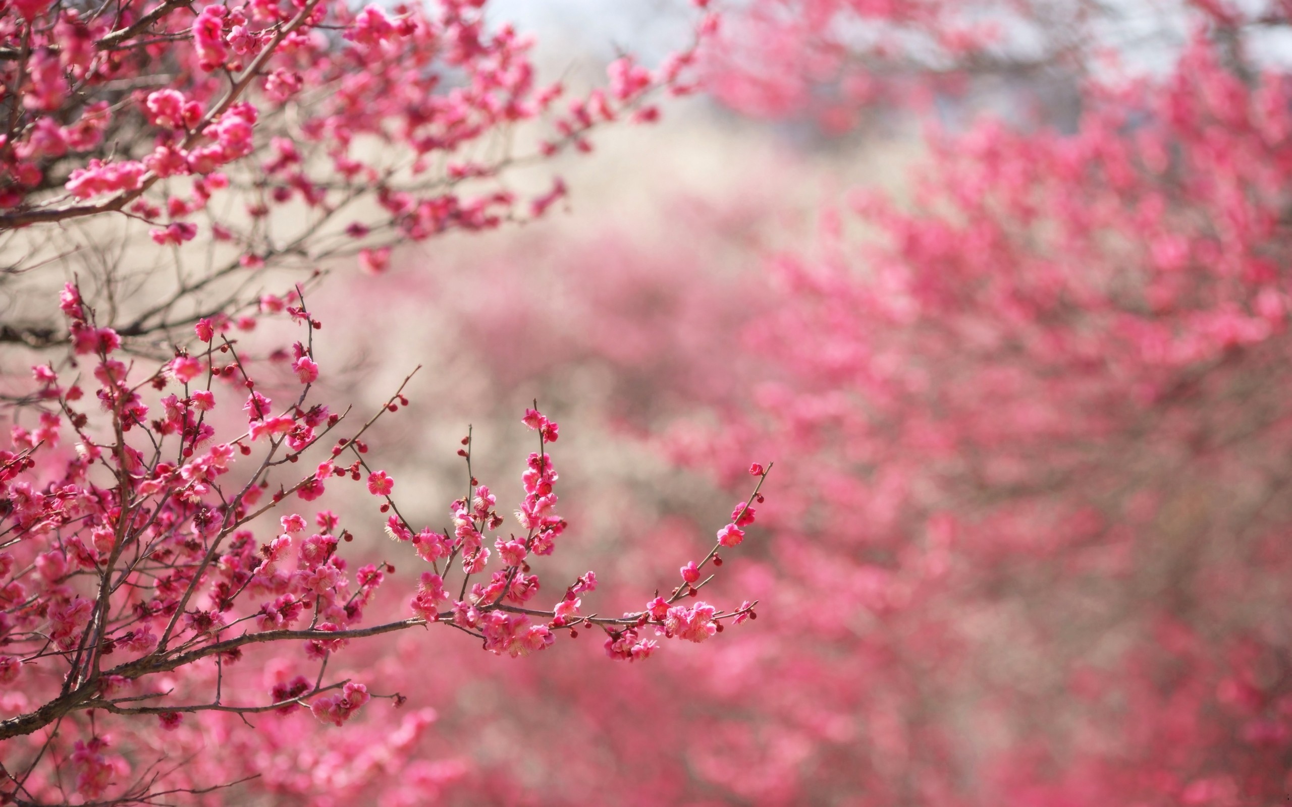 Il significato simbolico dell'equinozio di primavera